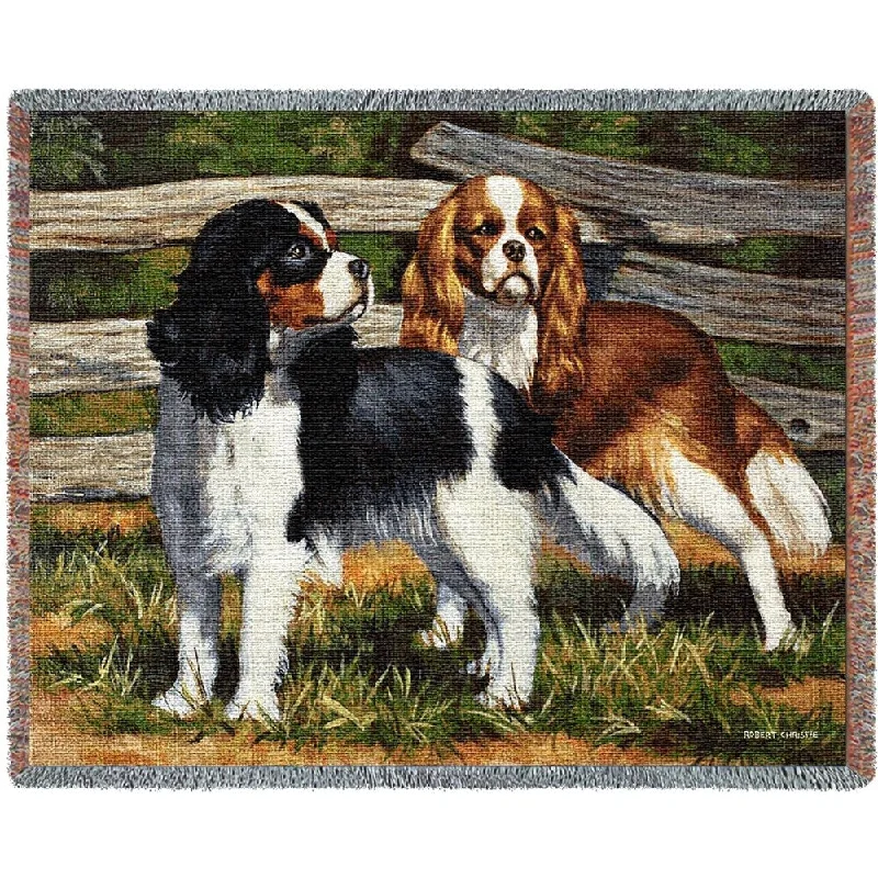 Recycled polyester blankets for an eco - conscious optionRecycled polyester blankets for an eco - conscious optionFence Line Blanket