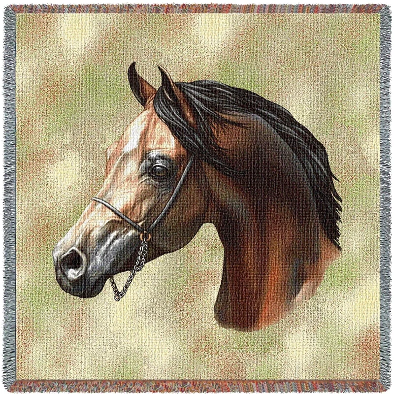 Synthetic fiber blend blankets for a budget - friendly choiceSynthetic fiber blend blankets for a budget - friendly choiceArabian Horse Small Blanket Synthetic fiber blend blankets for a budget - friendly choiceSynthetic fiber blend blankets for a budget - friendly choiceArabian Horse Small Blanket