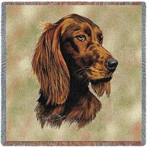 Bamboo fiber blankets with natural antibacterial propertiesBamboo fiber blankets with natural antibacterial propertiesIrish Setter Small Blanket Bamboo fiber blankets with natural antibacterial propertiesBamboo fiber blankets with natural antibacterial propertiesIrish Setter Small Blanket