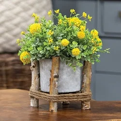 California king bed skirts for a larger bedSmall Cement Planter in Wooden Frame