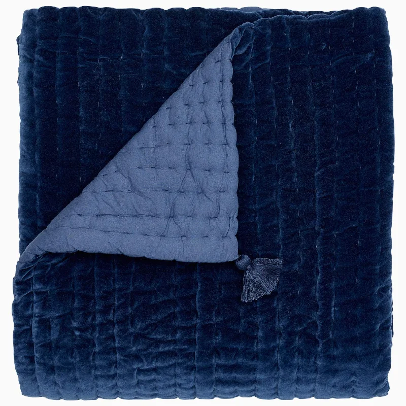 Decorative Pillows for Living Room MakeoverVelvet Indigo Throw