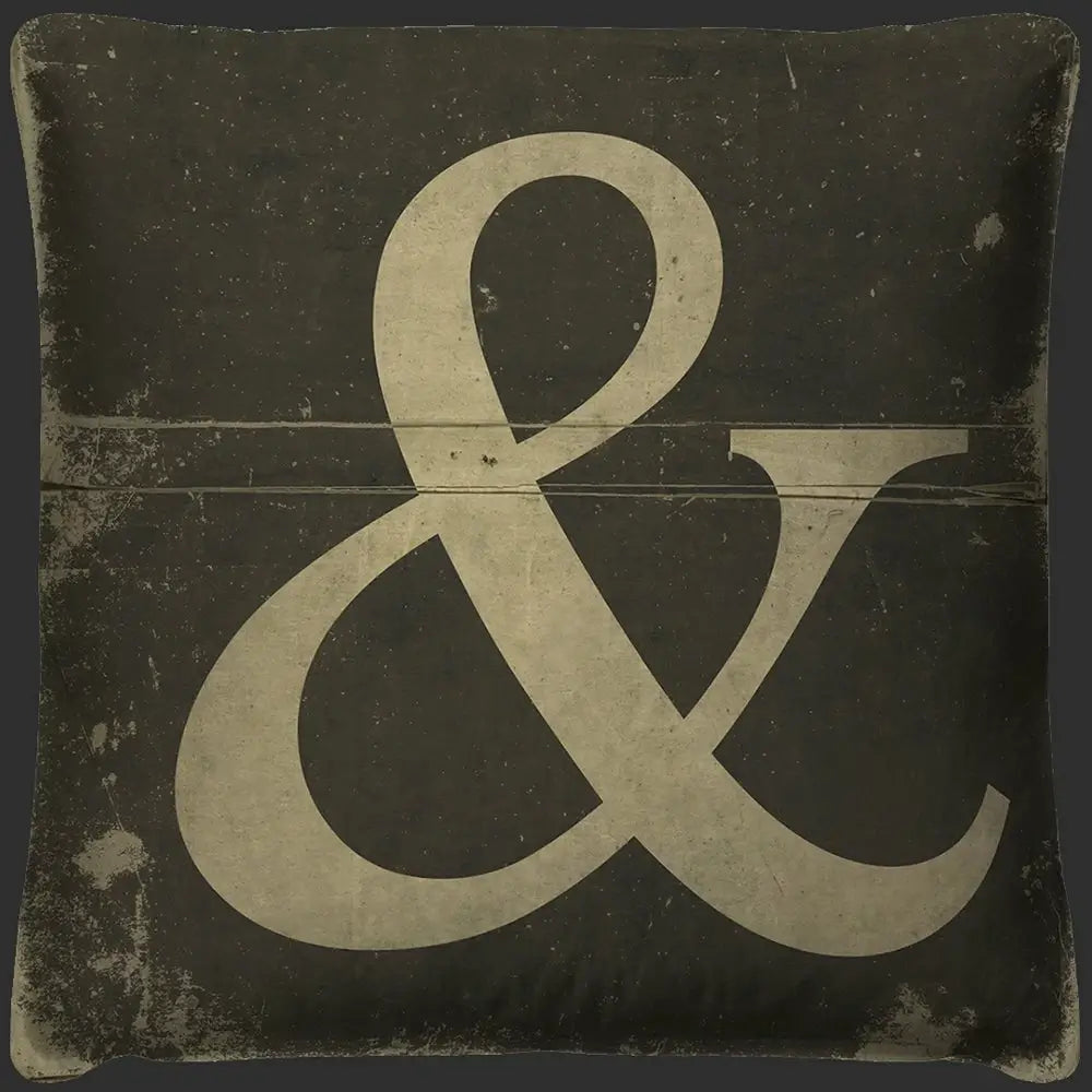 Soft and Fluffy Pillows for Bedroom ComfortAmpersand Throw Pillow