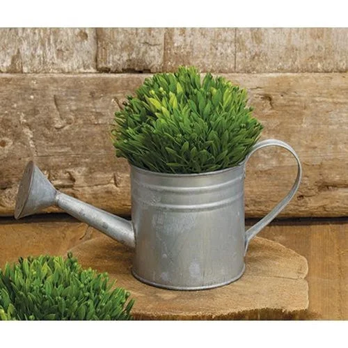 Bed skirts with a plaid pattern for a traditional styleNatural Zinc Watering Can