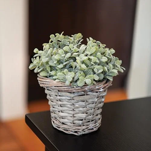 Cotton bed skirts for a soft and breathable lookGray Willow Basket