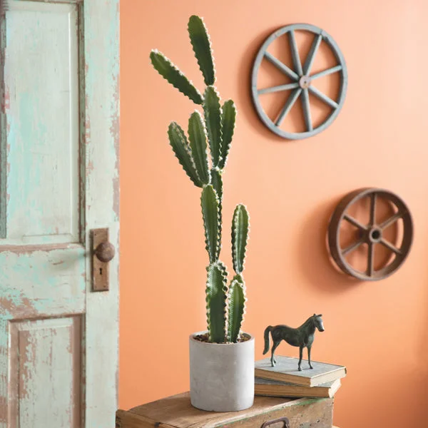 Bed skirts with a vintage - inspired patternCowboy Cactus Plant
