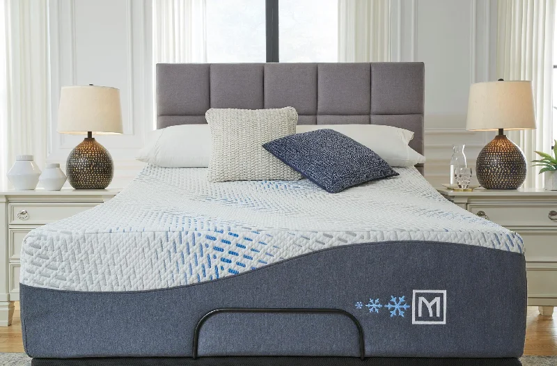 Polyester - foam mattresses for budget - friendly optionsMillennium Luxury Gel Memory Foam Queen Mattress