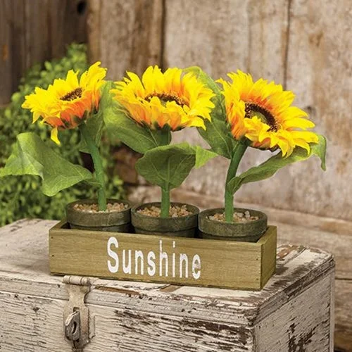 Bed skirts with a flannel material for a cozy winter option3/Set Potted Sunflowers in Wooden Crate